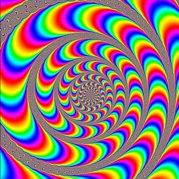 Meet your Posher, Anna - Picture 6 of 6